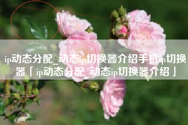 ip动态分配_动态ip切换器介绍手机ip切换器「ip动态分配_动态ip切换器介绍」 ip动态分配_动态ip切换器介绍手机ip切换器「ip动态分配_动态ip切换器介绍」