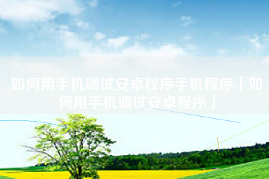 如何用手机调试安卓程序手机程序「如何用手机调试安卓程序」