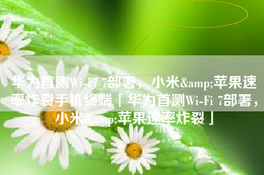 华为首测Wi-Fi 7部署，小米&苹果速率炸裂手机终端「华为首测Wi-Fi 7部署，小米&苹果速率炸裂」