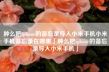 肿么把iphone的备忘录导入小米手机小米手机备忘录在哪里「肿么把iphone的备忘录导入小米手机」