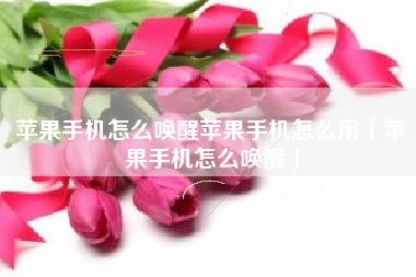 苹果手机怎么唤醒苹果手机怎么用「苹果手机怎么唤醒」
