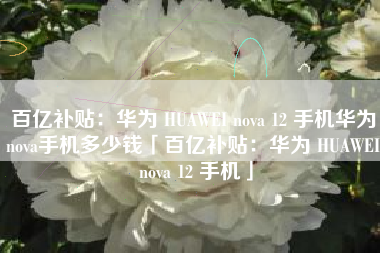 百亿补贴：华为 HUAWEI nova 12 手机华为nova手机多少钱「百亿补贴：华为 HUAWEI nova 12 手机」