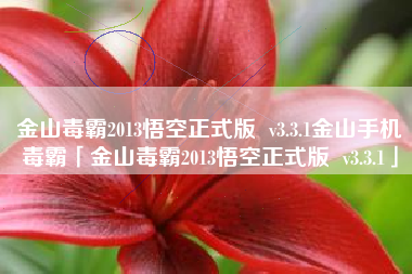 金山毒霸2013悟空正式版  v3.3.1金山手机毒霸「金山毒霸2013悟空正式版  v3.3.1」