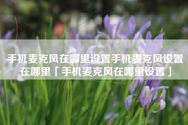 手机麦克风在哪里设置手机麦克风设置在哪里「手机麦克风在哪里设置」