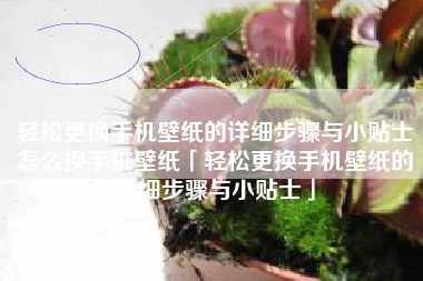 轻松更换手机壁纸的详细步骤与小贴士怎么换手机壁纸「轻松更换手机壁纸的详细步骤与小贴士」