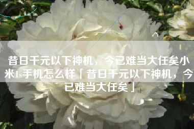 昔日千元以下神机，今已难当大任矣小米1s手机怎么样「昔日千元以下神机，今已难当大任矣」