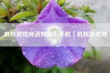 机核游戏频道网易云手机「机核游戏频道」 机核游戏频道网易云手机「机核游戏频道」