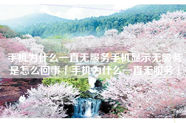 手机为什么一直无服务手机显示无服务是怎么回事「手机为什么一直无服务」