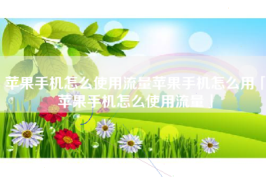 苹果手机怎么使用流量苹果手机怎么用「苹果手机怎么使用流量」