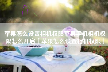 苹果怎么设置相机权限苹果手机相机权限怎么开启「苹果怎么设置相机权限」