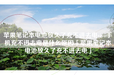 苹果笔记本电池放久了充不进去电vivo手机充不进去电是什么原因「苹果笔记本电池放久了充不进去电」