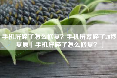 手机屏碎了怎么修复？手机屏幕碎了20秒复原「手机屏碎了怎么修复？」