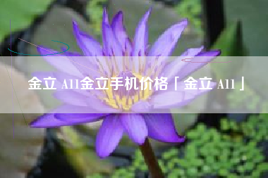 金立 A11金立手机价格「金立 A11」 金立 A11金立手机价格「金立 A11」