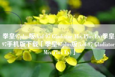拳皇97plus版(kof 97 Gladiator Mix Plus Ex)拳皇97手机版下载「拳皇97plus版(kof 97 Gladiator Mix Plus Ex)」