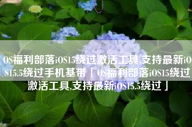 OS福利部落iOS15绕过激活工具,支持最新iOS15.5绕过手机基带「OS福利部落iOS15绕过激活工具,支持最新iOS15.5绕过」