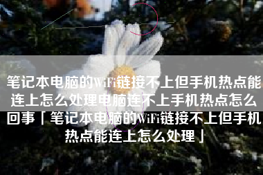 笔记本电脑的WiFi链接不上但手机热点能连上怎么处理电脑连不上手机热点怎么回事「笔记本电脑的WiFi链接不上但手机热点能连上怎么处理」