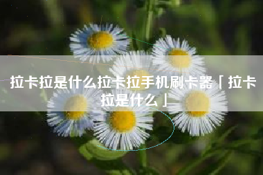 拉卡拉是什么拉卡拉手机刷卡器「拉卡拉是什么」