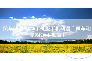 风车动漫DM530手机版手机动漫「风车动漫DM530手机版」 风车动漫DM530手机版手机动漫「风车动漫DM530手机版」