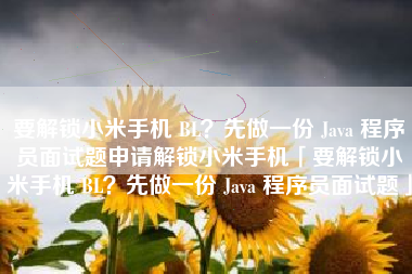 要解锁小米手机 BL？先做一份 Java 程序员面试题申请解锁小米手机「要解锁小米手机 BL？先做一份 Java 程序员面试题」