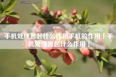 手机处理器起什么作用手机的作用「手机处理器起什么作用」