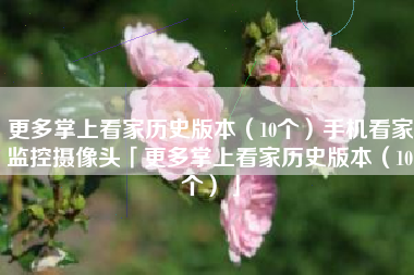 更多掌上看家历史版本（10个）手机看家监控摄像头「更多掌上看家历史版本（10个）」