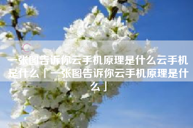 一张图告诉你云手机原理是什么云手机是什么「一张图告诉你云手机原理是什么」