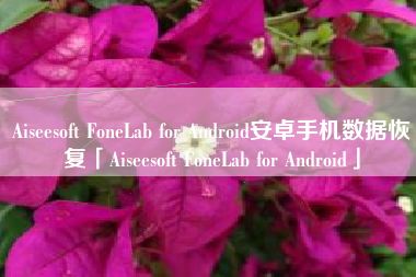 Aiseesoft FoneLab for Android安卓手机数据恢复「Aiseesoft FoneLab for Android」