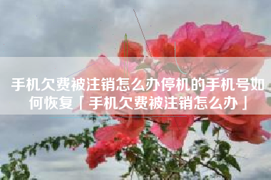 手机欠费被注销怎么办停机的手机号如何恢复「手机欠费被注销怎么办」