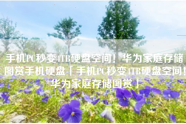 手机PC秒变4TB硬盘空间！华为家庭存储图赏手机硬盘「手机PC秒变4TB硬盘空间！华为家庭存储图赏」
