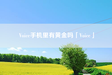 Voice手机里有黄金吗「Voice」