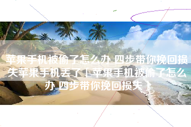 苹果手机被偷了怎么办 四步带你挽回损失苹果手机丢了「苹果手机被偷了怎么办 四步带你挽回损失」