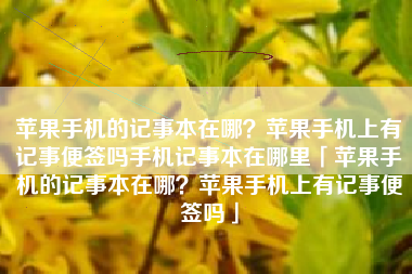 苹果手机的记事本在哪？苹果手机上有记事便签吗手机记事本在哪里「苹果手机的记事本在哪？苹果手机上有记事便签吗」
