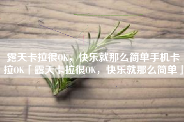 露天卡拉很OK，快乐就那么简单手机卡拉OK「露天卡拉很OK，快乐就那么简单」