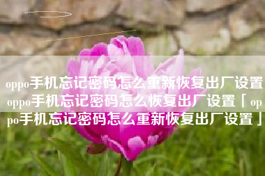 oppo手机忘记密码怎么重新恢复出厂设置oppo手机忘记密码怎么恢复出厂设置「oppo手机忘记密码怎么重新恢复出厂设置」