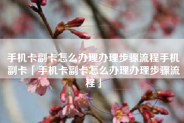 手机卡副卡怎么办理办理步骤流程手机副卡「手机卡副卡怎么办理办理步骤流程」
