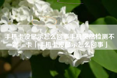 手机卡没显示怎么回事手机突然检测不到sim卡「手机卡没显示怎么回事」