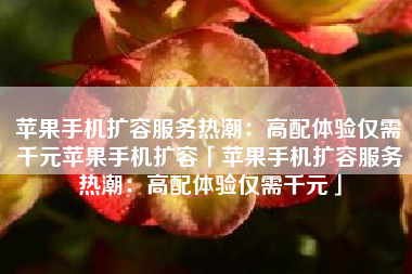 苹果手机扩容服务热潮：高配体验仅需千元苹果手机扩容「苹果手机扩容服务热潮：高配体验仅需千元」