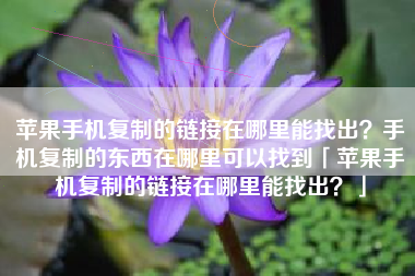 苹果手机复制的链接在哪里能找出?手机复制的东西在哪里可以找到「苹果手机复制的链接在哪里能找出?」 苹果手机复制的链接在哪里能找出?手机复制的东西在哪里可以找到「苹果手机复制的链接在哪里能找出?」