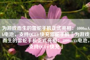 为游戏而生的雷蛇手机正式亮相:4000mAh电池,支持QC4+快充雷蛇手机「为游戏而生的雷蛇手机正式亮相:4000mAh电池,支持QC4+快充」 为游戏而生的雷蛇手机正式亮相:4000mAh电池,支持QC4+快充雷蛇手机「为游戏而生的雷蛇手机正式亮相:4000mAh电池,支持QC4+快充」