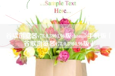 谷歌浏览器v78.0.3904.96版chrome手机版「谷歌浏览器v78.0.3904.96版」