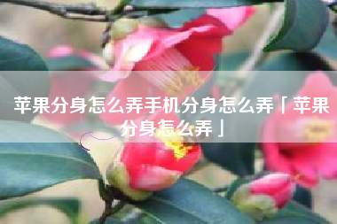 苹果分身怎么弄手机分身怎么弄「苹果分身怎么弄」