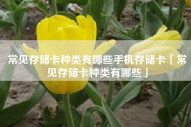 常见存储卡种类有哪些手机存储卡「常见存储卡种类有哪些」