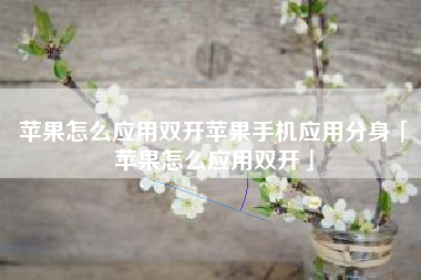 苹果怎么应用双开苹果手机应用分身「苹果怎么应用双开」