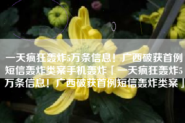 一天疯狂轰炸5万条信息！广西破获首例短信轰炸类案手机轰炸「一天疯狂轰炸5万条信息！广西破获首例短信轰炸类案」