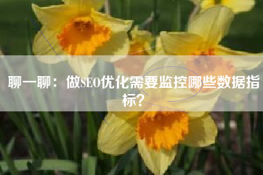 聊一聊：做SEO优化需要监控哪些数据指标？
