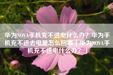 华为NOVA手机充不进电什么办?华为手机充不进去电是怎么回事「华为NOVA手机充不进电什么办?」 华为NOVA手机充不进电什么办?华为手机充不进去电是怎么回事「华为NOVA手机充不进电什么办?」