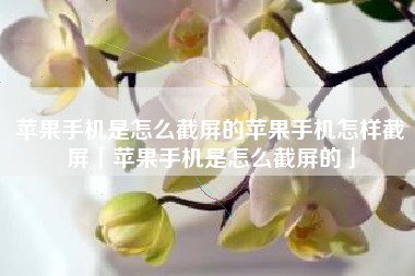 苹果手机是怎么截屏的苹果手机怎样截屏「苹果手机是怎么截屏的」