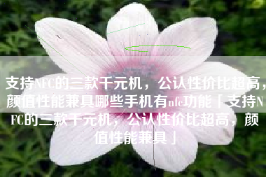 支持NFC的三款千元机，公认性价比超高，颜值性能兼具哪些手机有nfc功能「支持NFC的三款千元机，公认性价比超高，颜值性能兼具」