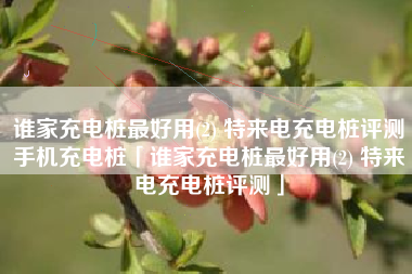 谁家充电桩最好用(2) 特来电充电桩评测手机充电桩「谁家充电桩最好用(2) 特来电充电桩评测」