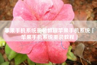 苹果手机系统重装教程苹果手机系统「苹果手机系统重装教程」